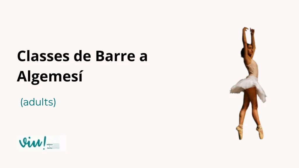 Classes-de-barre-algemesi